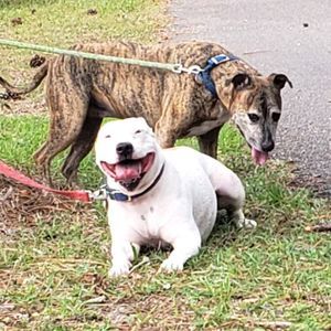 Meet your Posher, Nina